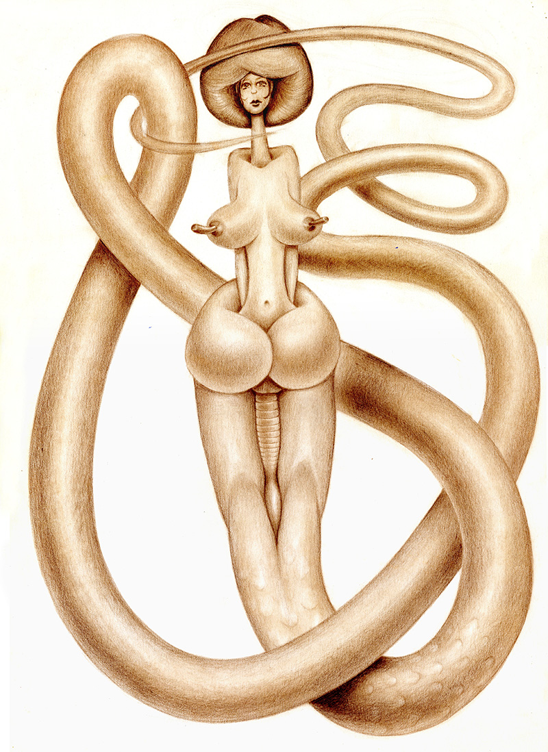 Anatomía